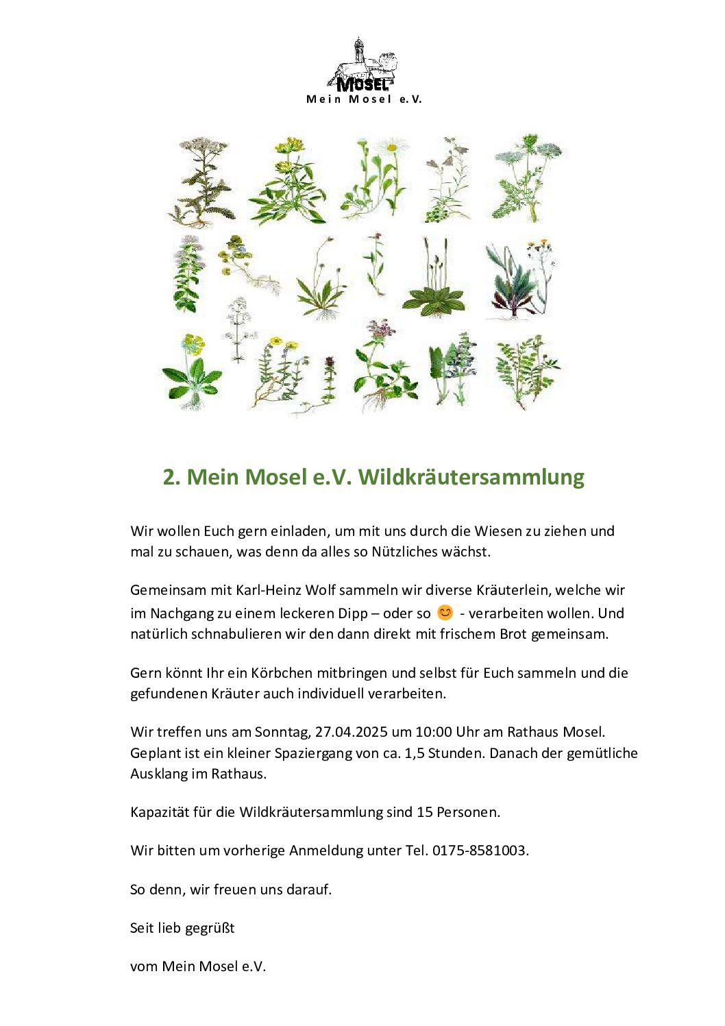 2. Mein Mosel e.V. Wildkräutersammlung